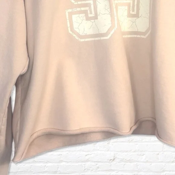 Current/ Elliot #95 Heavyweight Hooded Sweatshirt Beige Blush Size 2 Fits M/L - Picture 7 of 11